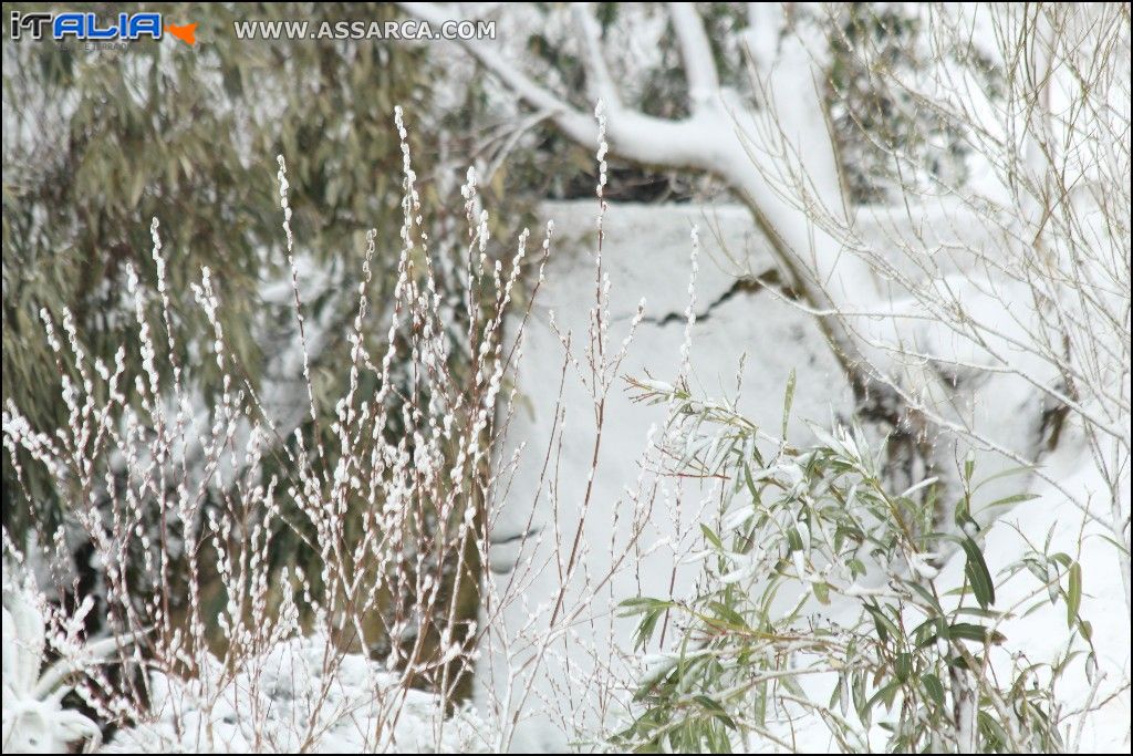 Ancora neve