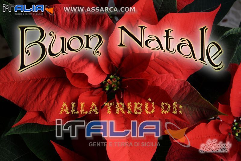 Buone Feste!