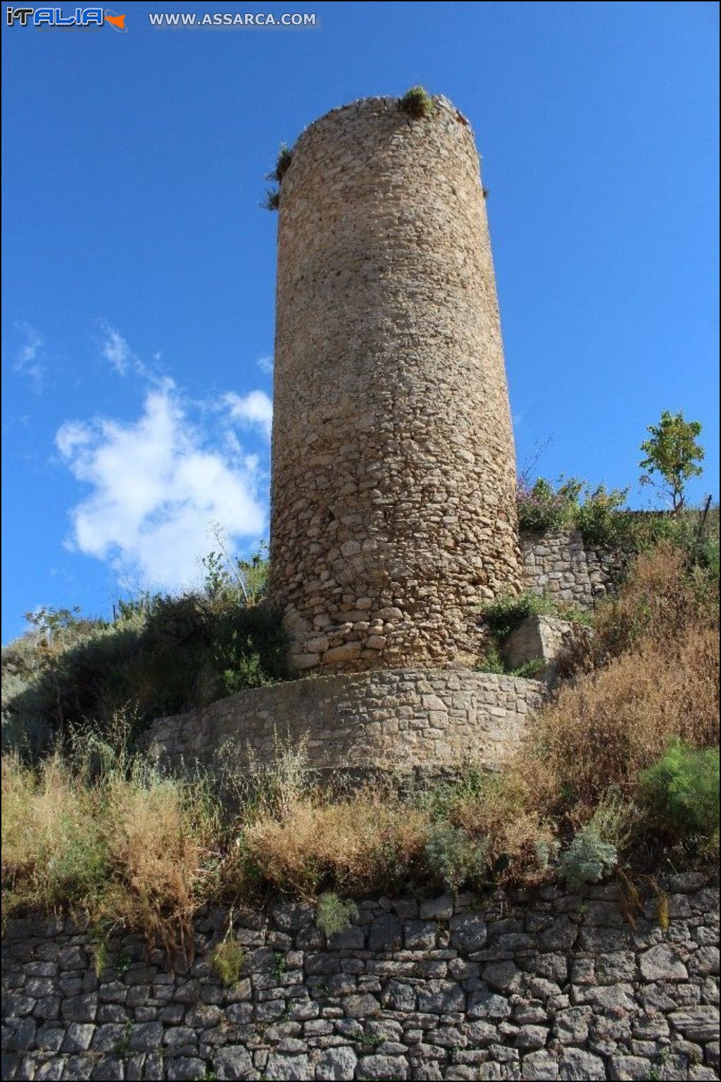 torre sarecena