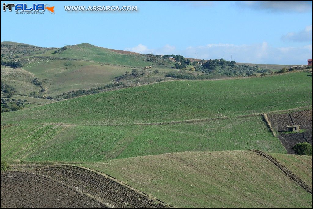 Tempo di semina