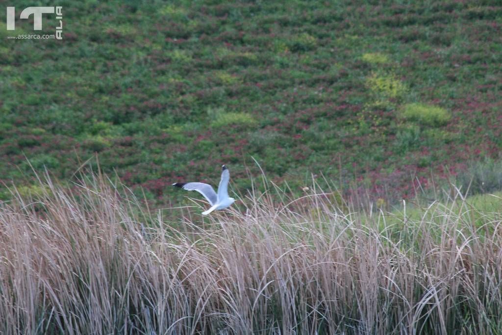 Spettacolo della natura