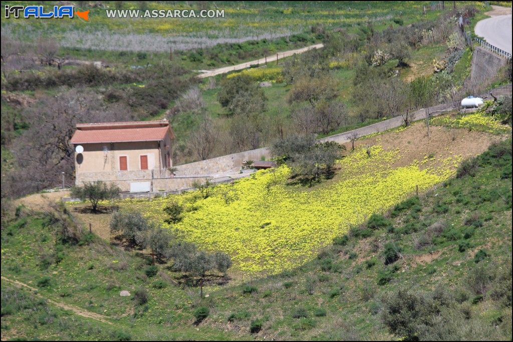 COLORI DI PRIMAVERA