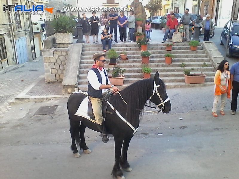 bel cavallo.