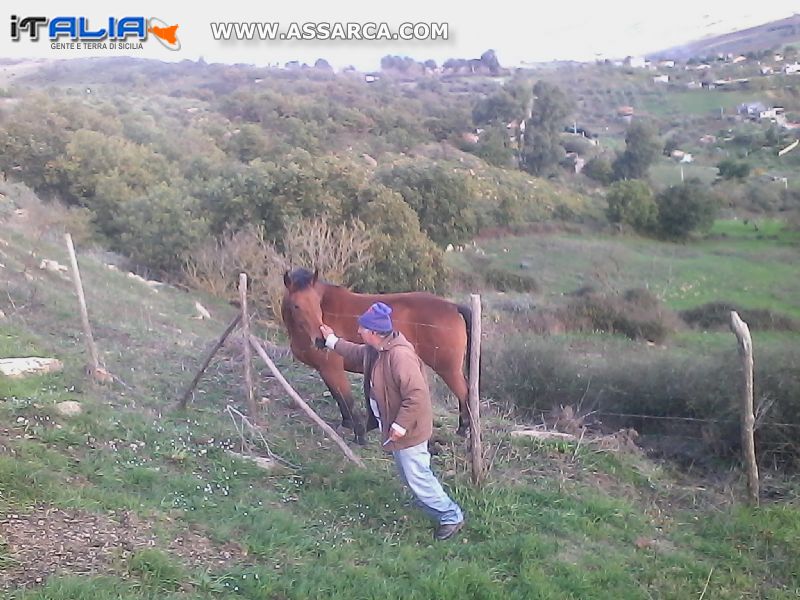 molto docile da farsi accarezzare.