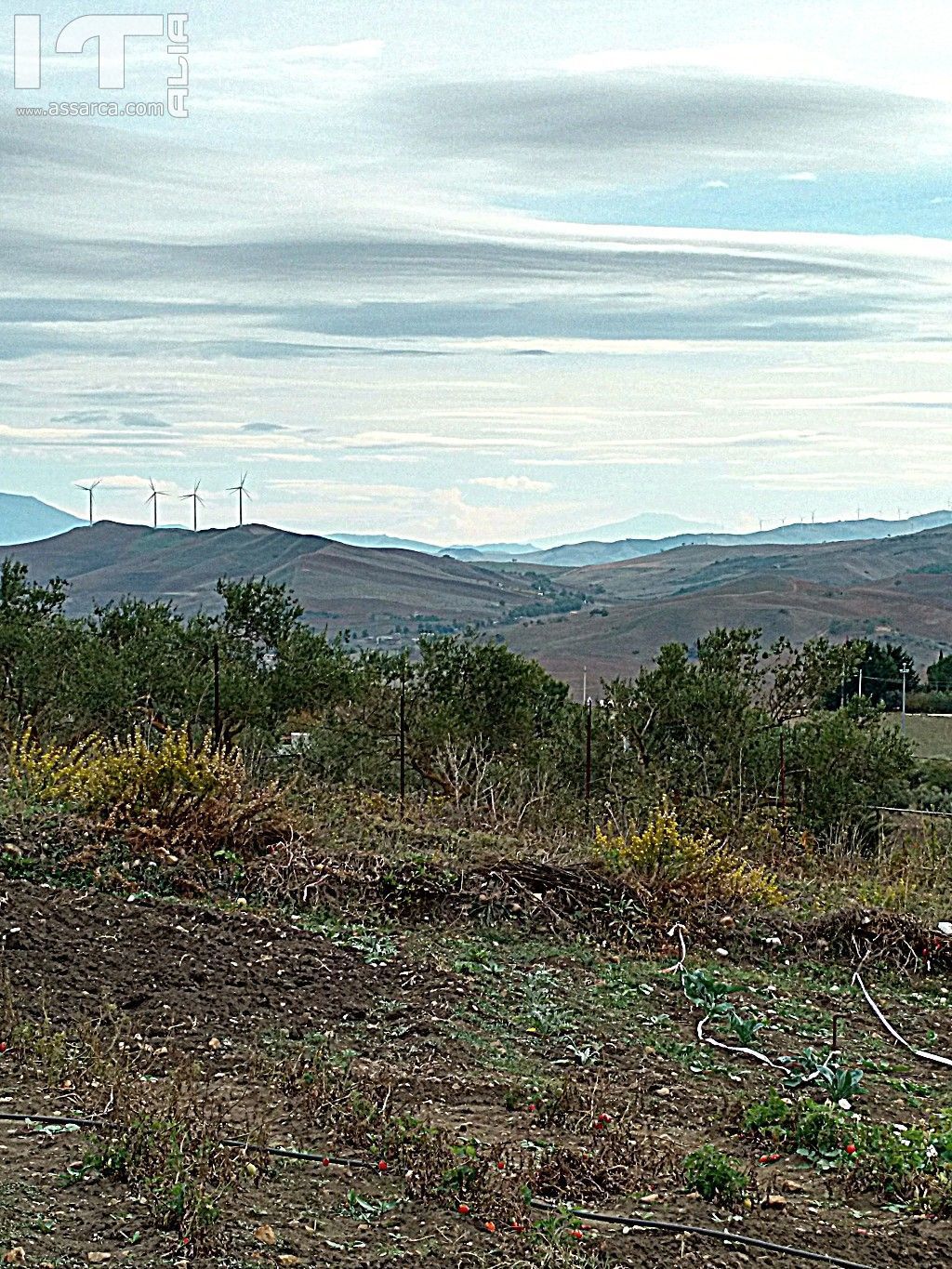 L`Etna  dal mio  Motorola