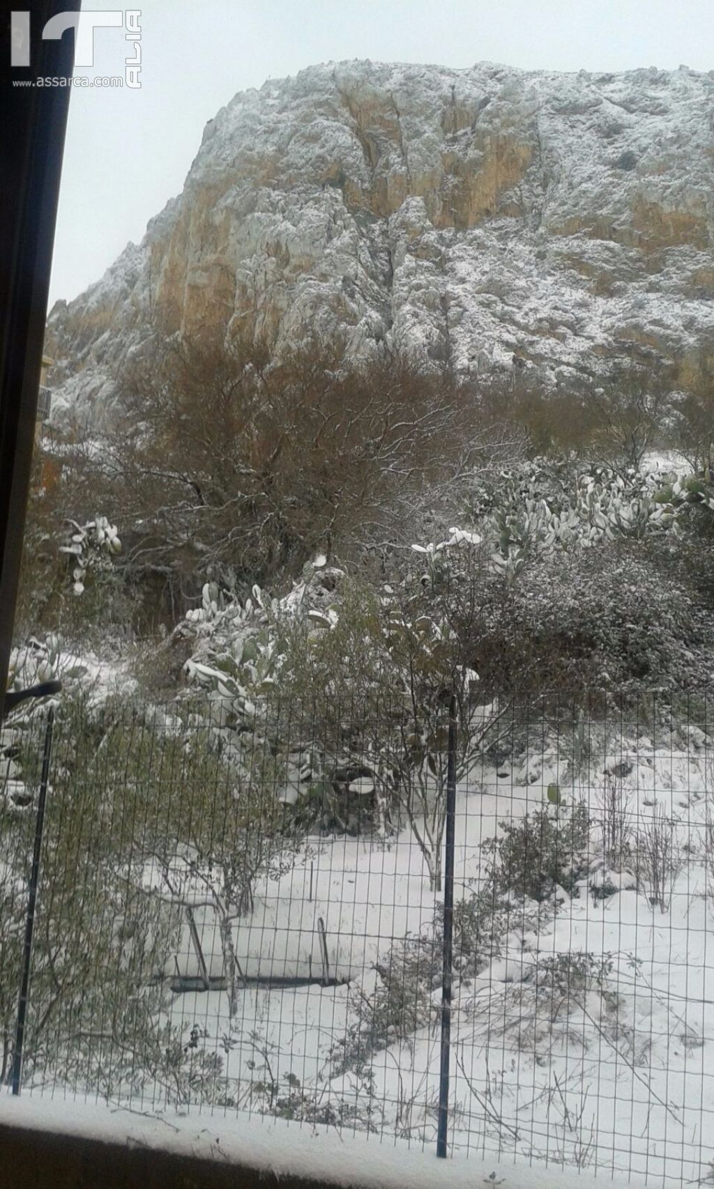 Epifania con la neve