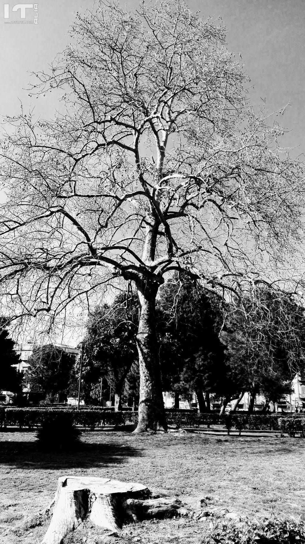 Giardini e Ville di Palermo