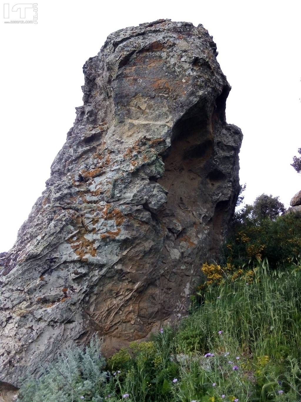 Sculture naturali.