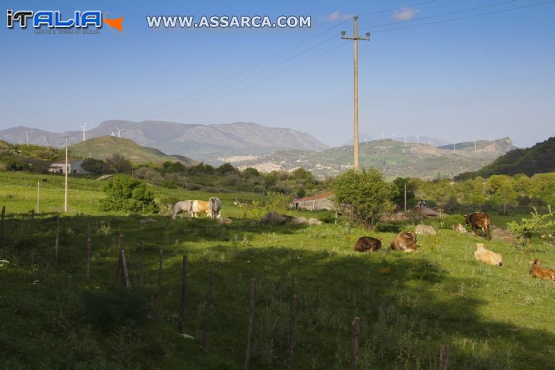 PANORAMA SICILIANO