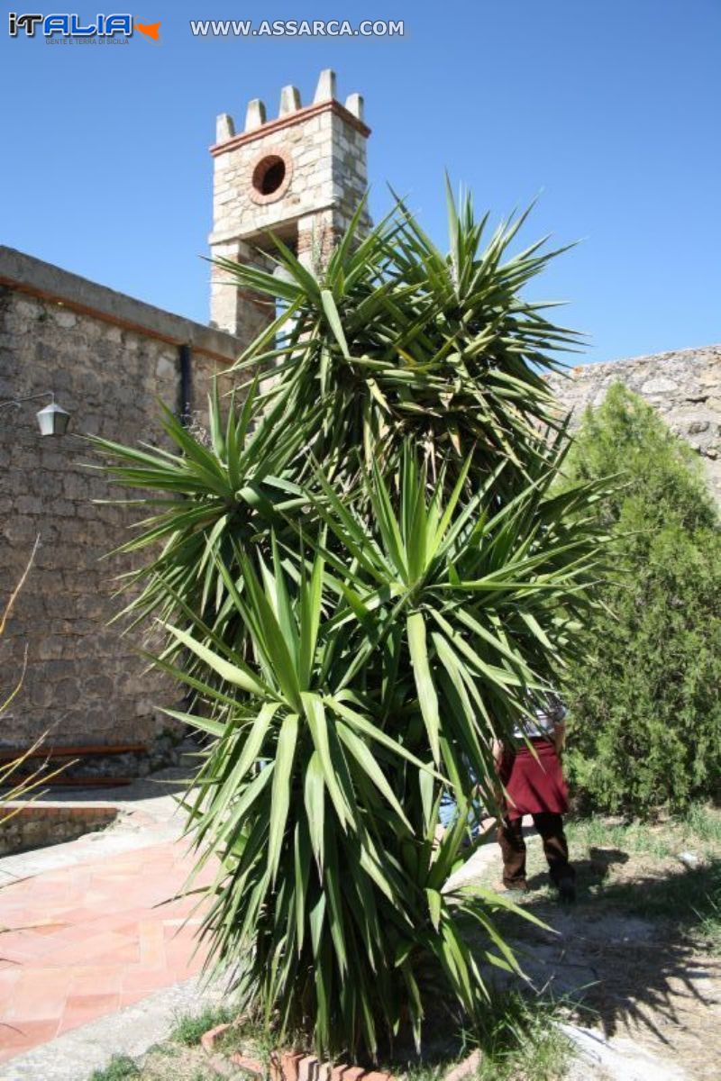 al santuario di Belici