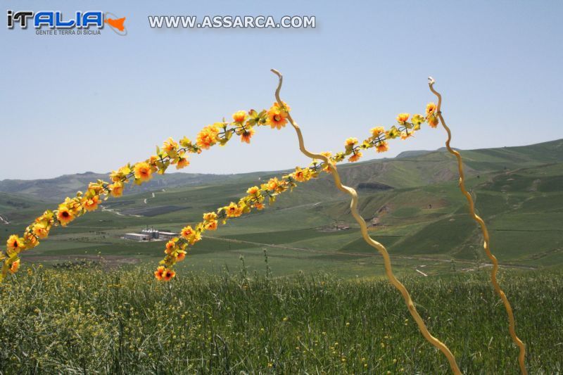 fiori al vento