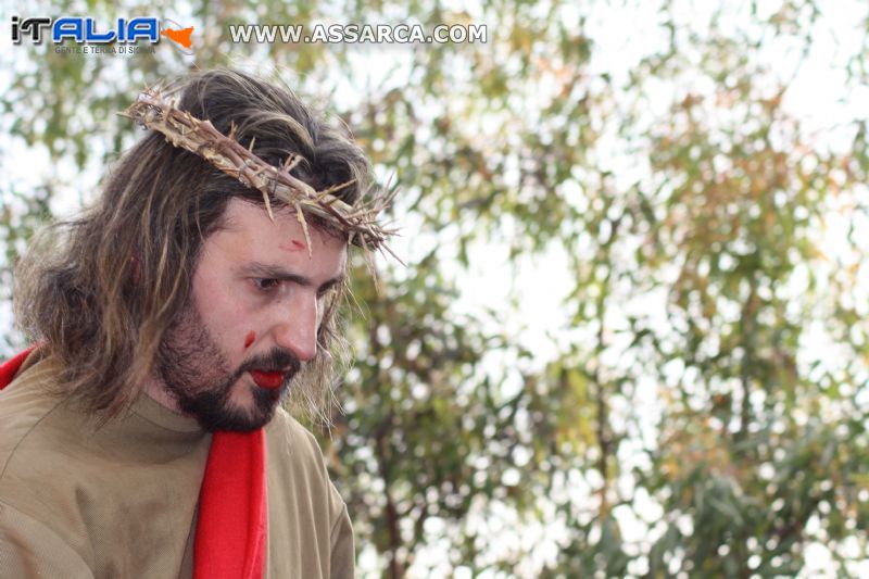 via crucis  2011