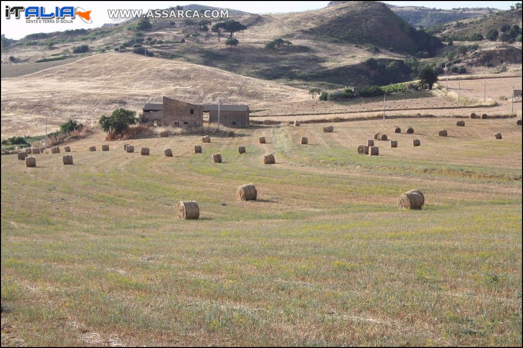 Campi già mietuti.