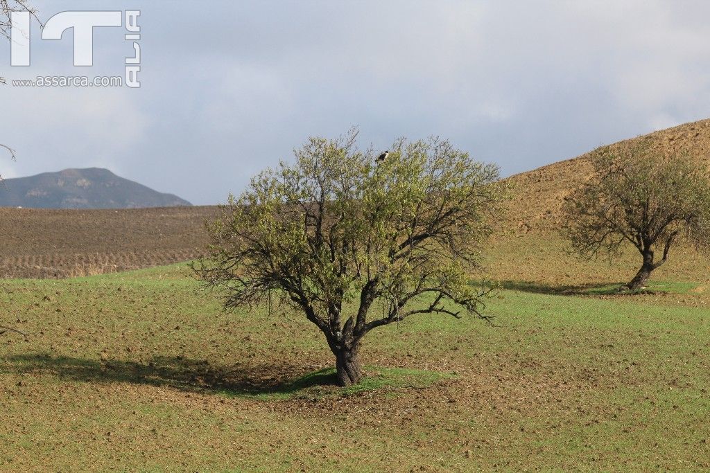 I colori della Sicilia