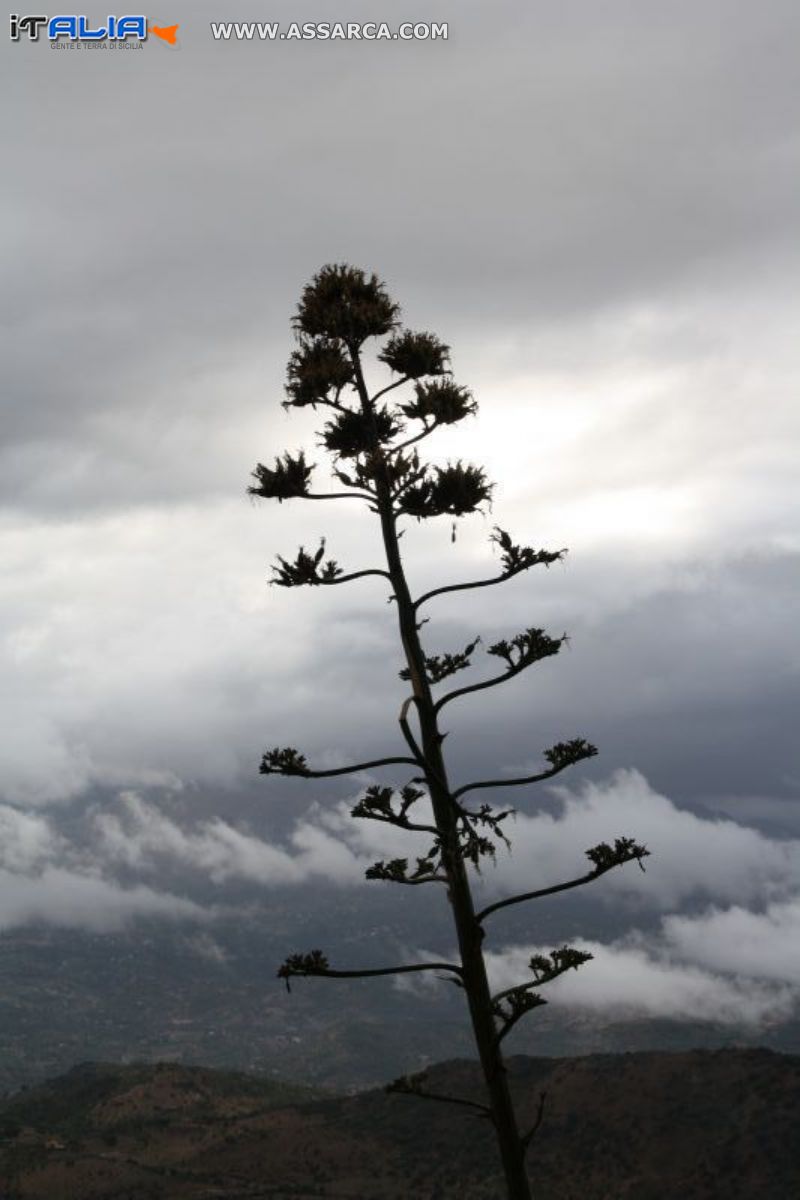 Veduta dall`alto di Pollina