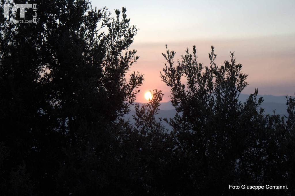 Tramonti Aliesi