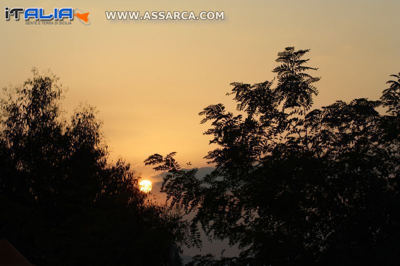 Tramonto  visto tra gli alberi