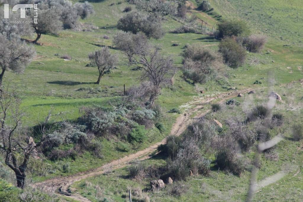 Paesaggio primaverile