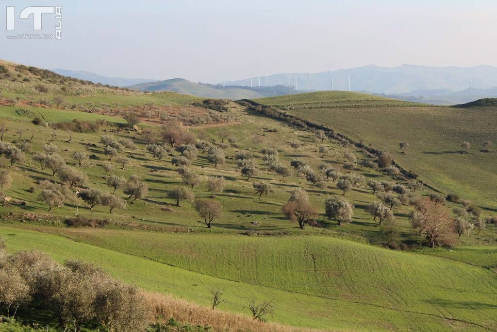 Paesaggio primaverile