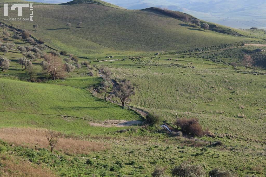 Paesaggio primaverile