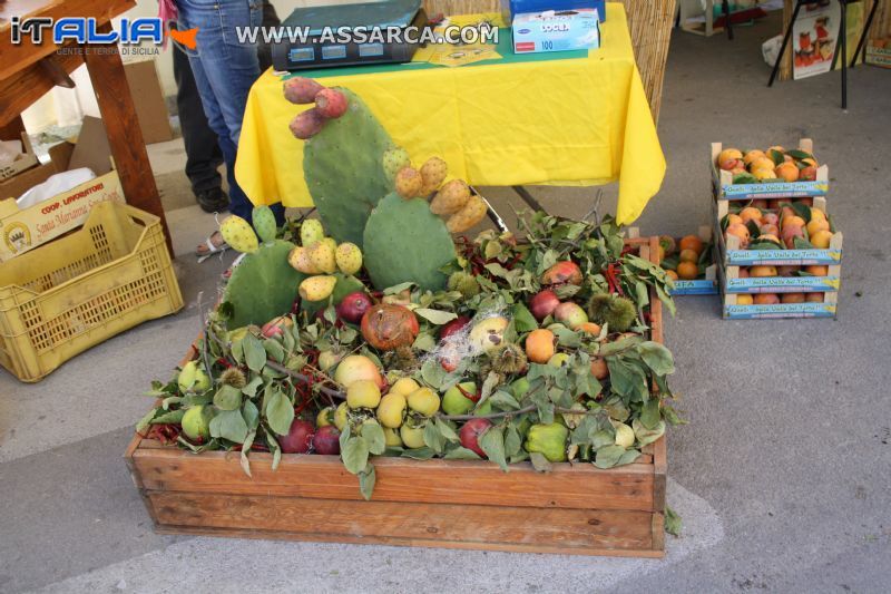 Sagra del ficodindia a Roccapalumba