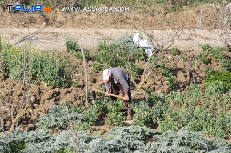 Lavoratore della terra