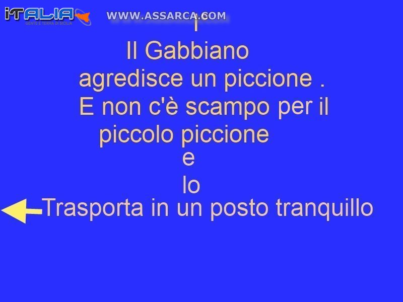 Il Gabiano Affamato non si nutre più di solo pesce fresco