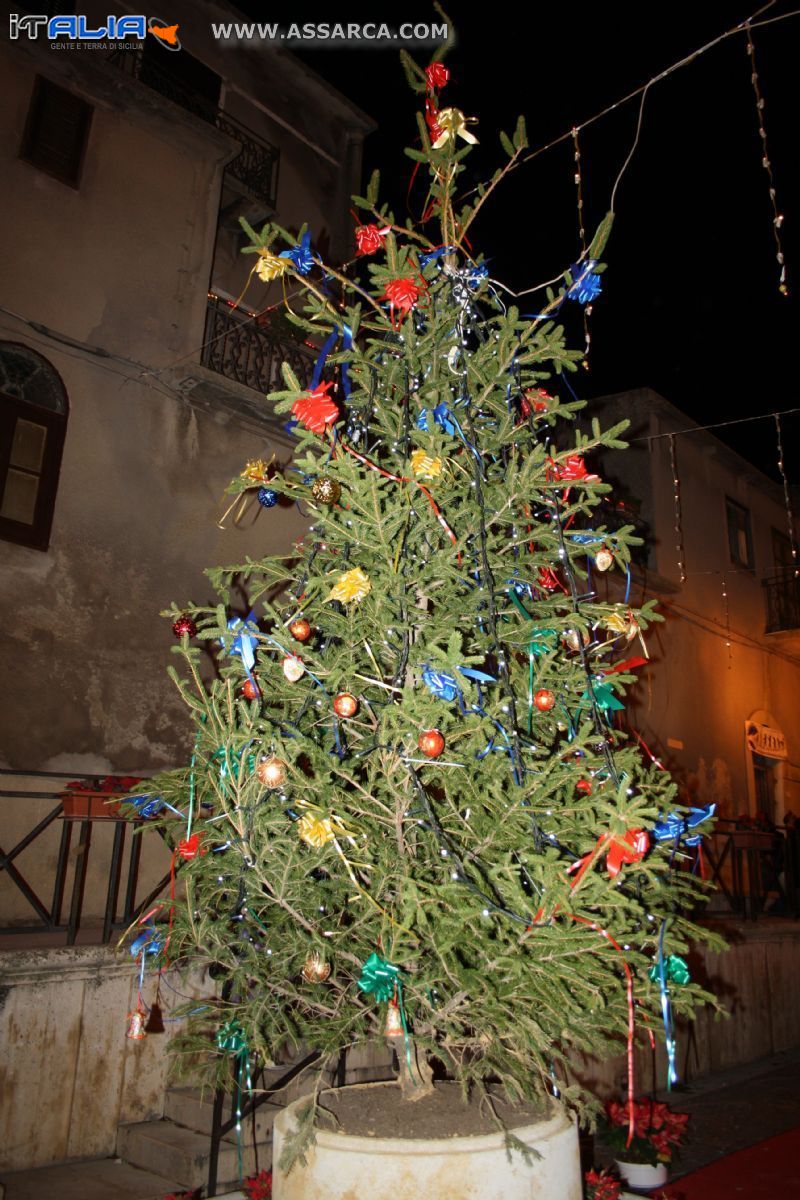 Albero di Natale in Piazza Garibaldi