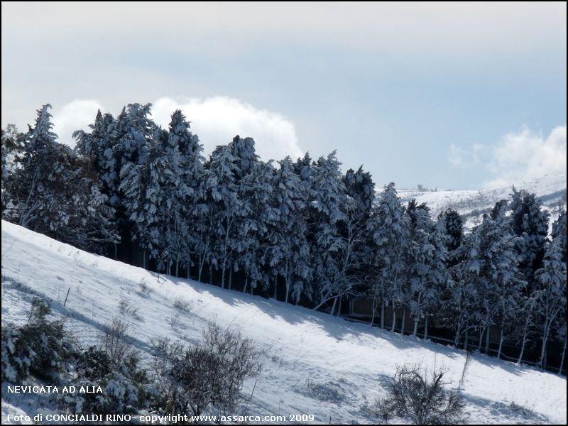 Nevicata ad Alia