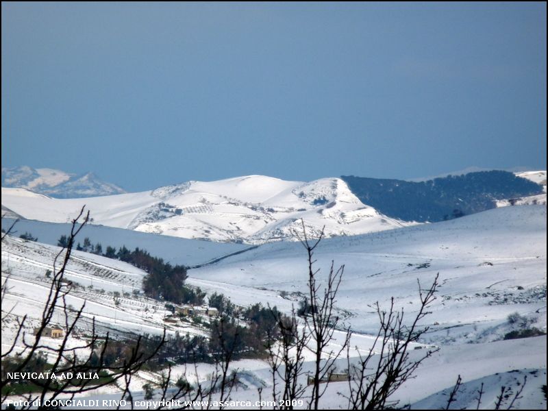 Nevicata ad Alia