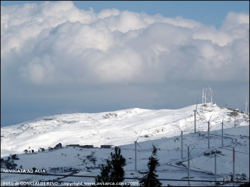 Nevicata ad Alia