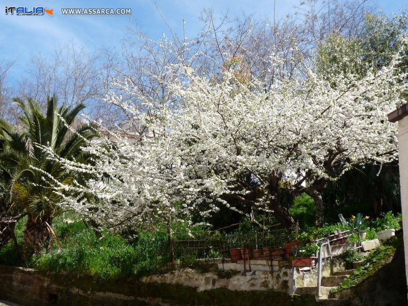 E` arrivata la primavera