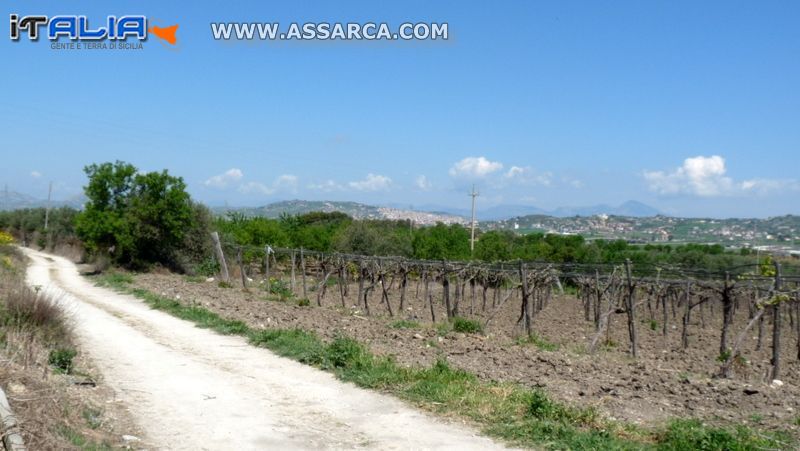 Aragona Caldare  dal maneggio di cavalli