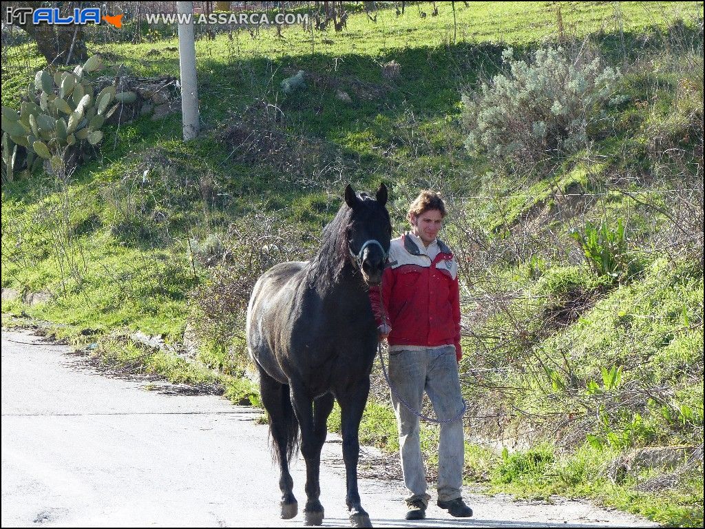 Giuseppe Granata con il suo bel cavallo.