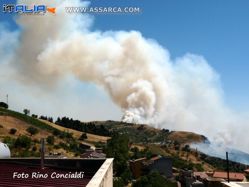 Incendi estivi da........... mano ignote