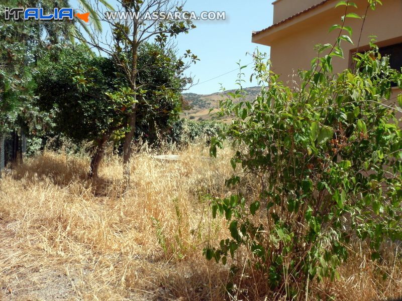 Erano il bottone all`occhiello della stazione