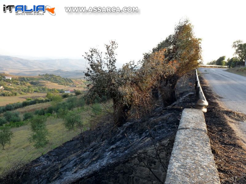 Incendi di settembre