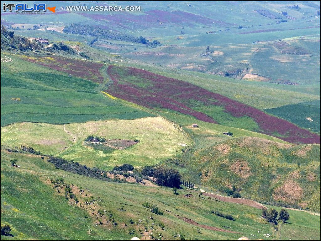 La campagna a primavera