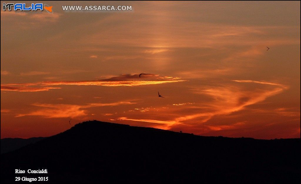 Tramonto e rondini in volo