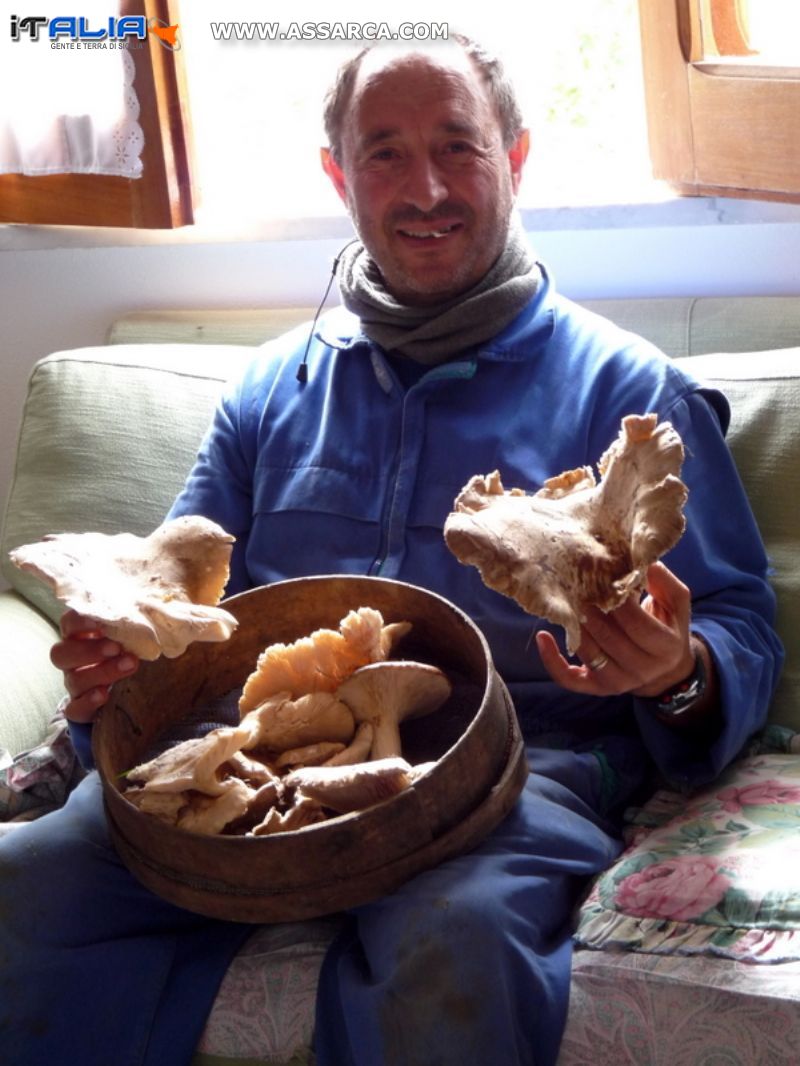 Una buona raccolta di funghi