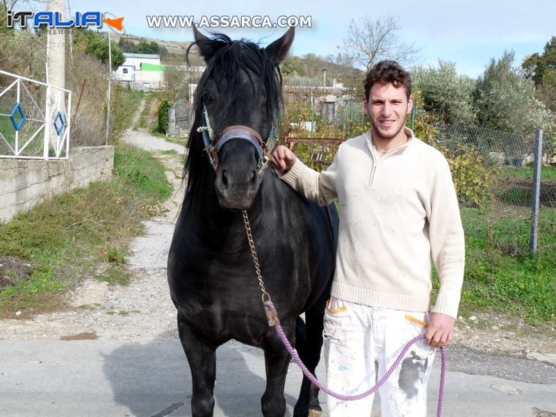 Giuseppe Granata con il suo bellissimo cavallo