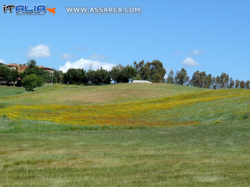 La natura ed i suoi colori