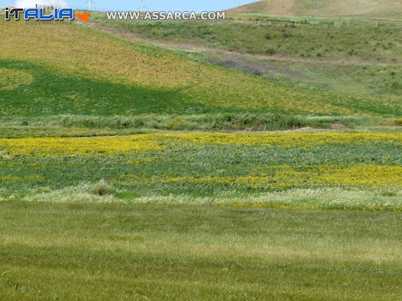 La natura ed i suoi colori