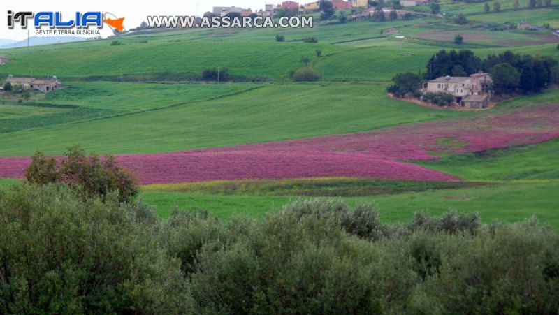 I colori della natura