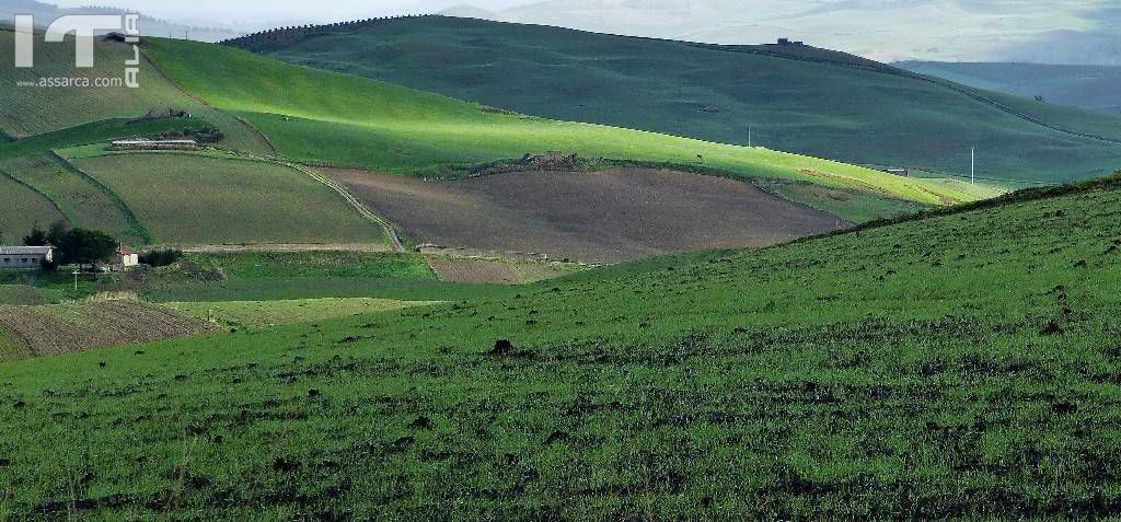 La campagna di Febbraio 18