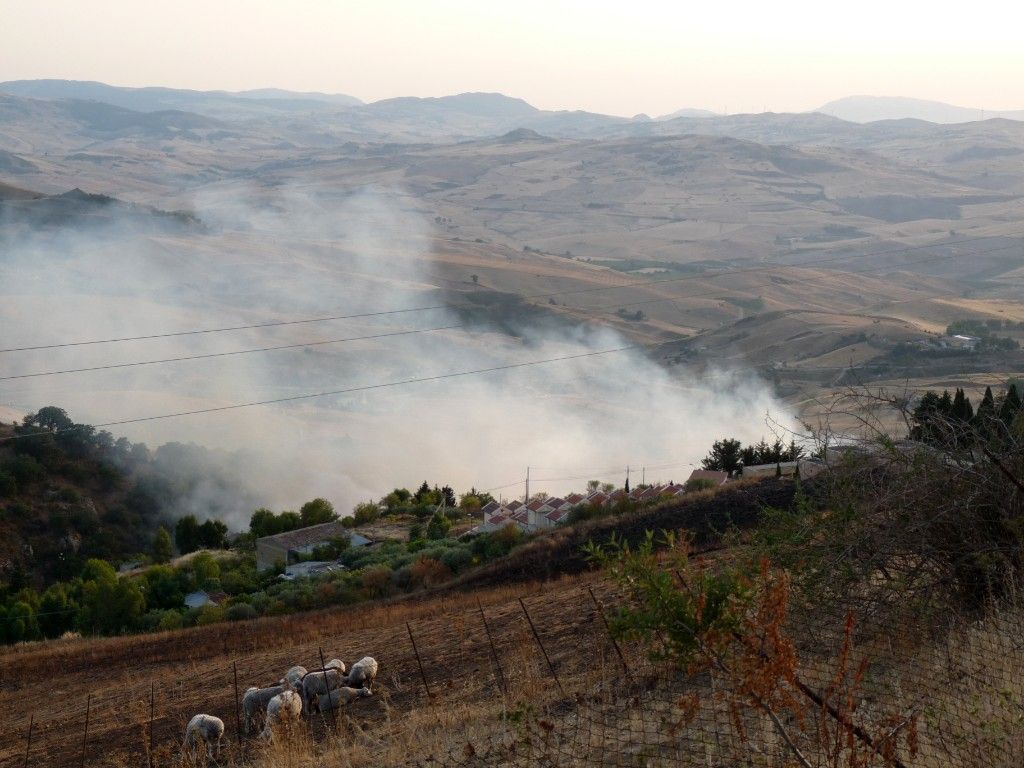 Incendi estivi dei soliti ignoti.