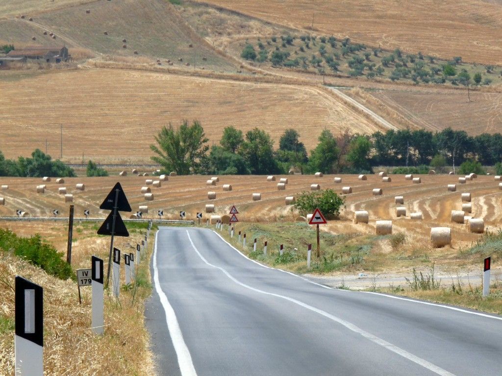 La campagna a fine Luglio