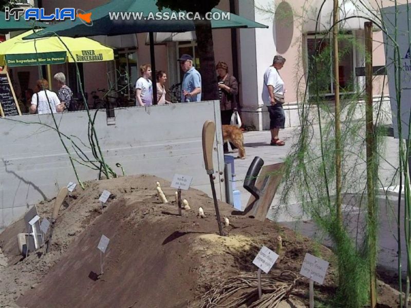 La Sagra degli Asparagi a Badreichenhall  nel sud della Baviera