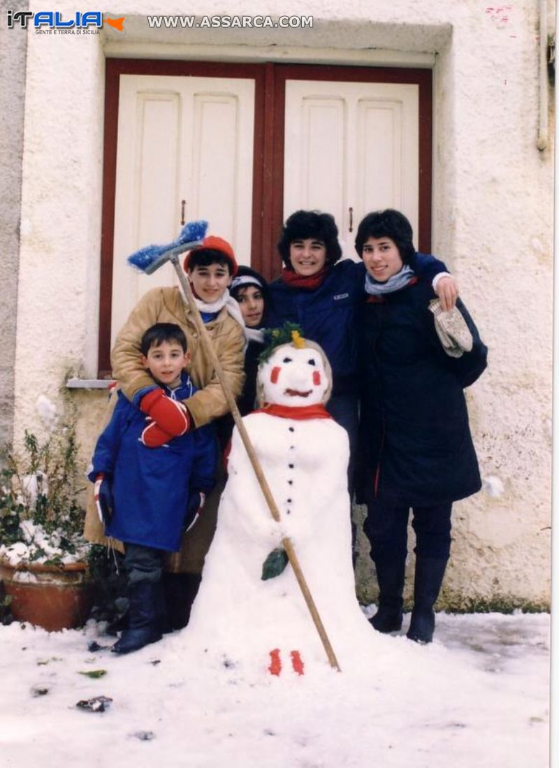 Nevicata del 1980