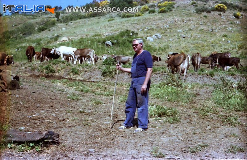 ALIA LOCALITA`  MONTAGNA  ANNI 77- 78.